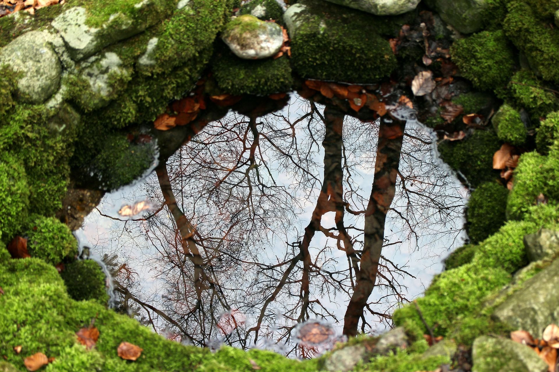 Odoo • Image et Texte